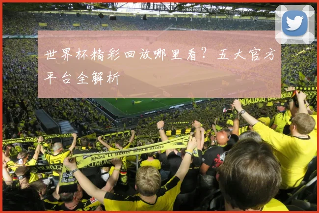 世界杯精彩回放哪里看?五大官方平台全解析