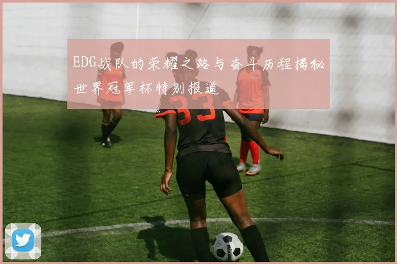 EDG战队的荣耀之路与奋斗历程揭秘世界冠军杯特别报道