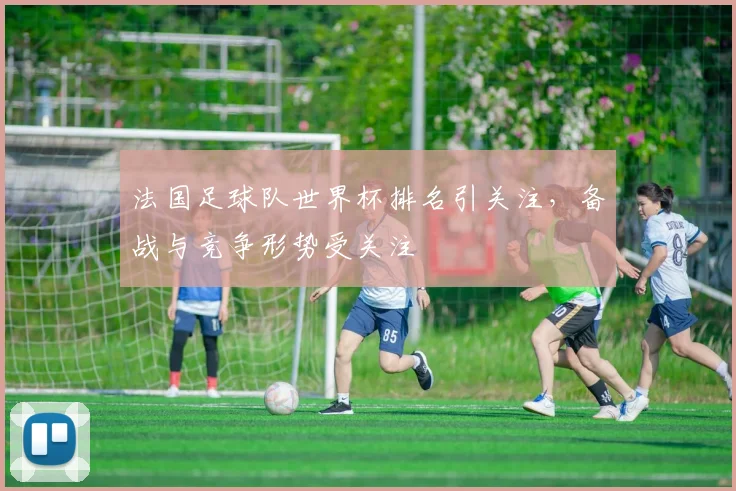 法国足球队世界杯排名引关注,备战与竞争形势受关注