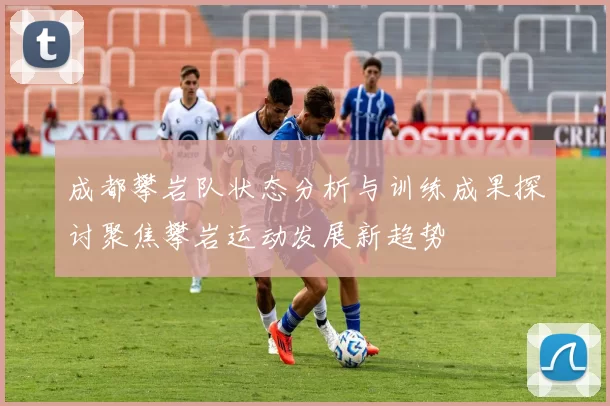成都攀岩队状态分析与训练成果探讨聚焦攀岩运动发展新趋势