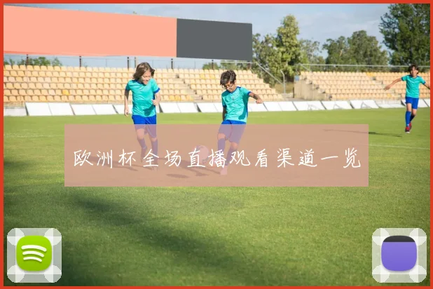 欧洲杯全场直播观看渠道一览