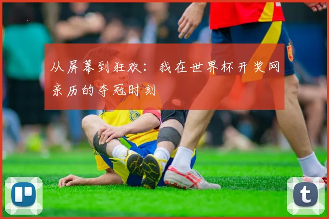 从屏幕到狂欢:我在世界杯开奖网亲历的夺冠时刻