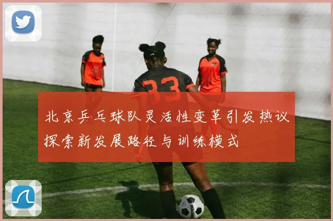 北京乒乓球队灵活性变革引发热议探索新发展路径与训练模式