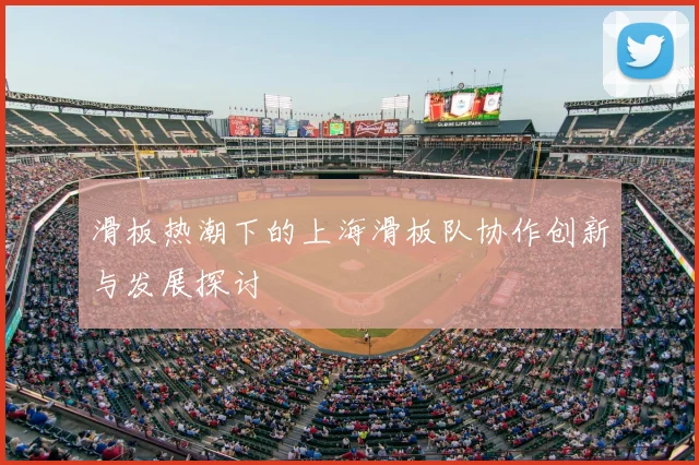 滑板热潮下的上海滑板队协作创新与发展探讨