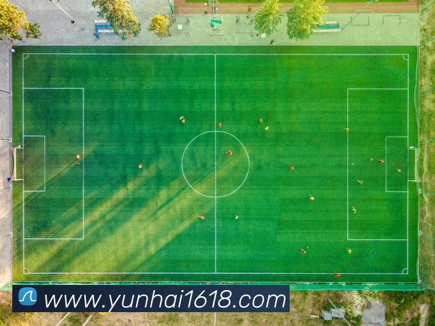 球盟会平台生态图